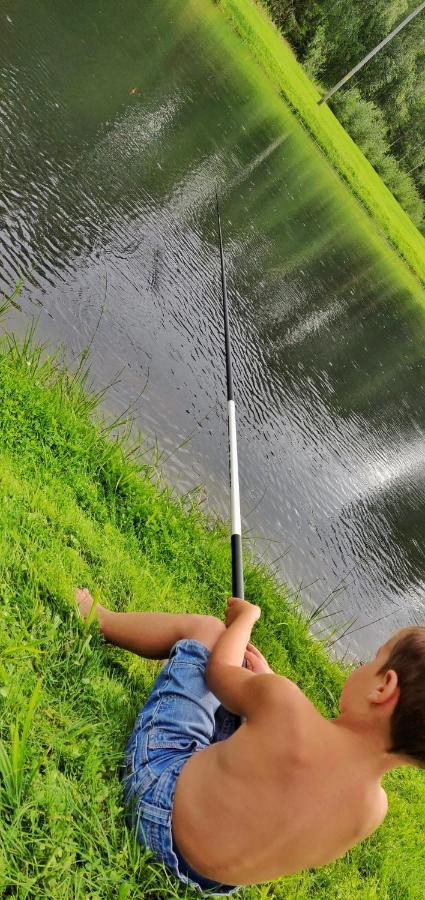 Orupohja Kaempingud Ja Telkimisala Hotel Põlva Buitenkant foto